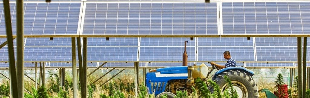 Agrivoltaika – nová éra fotovoltaiky v Česku
